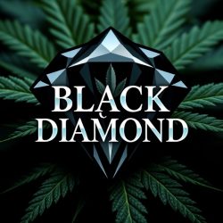 Black diamond