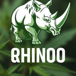 WHITE RHINO