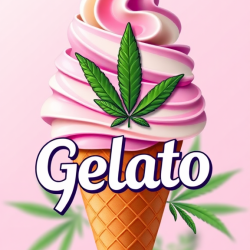 Ice Cream Gelato 🍧