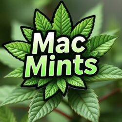 MAC Mint