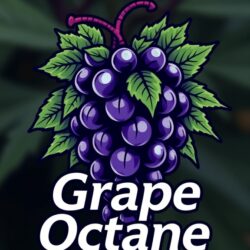 Grape Octane🍇